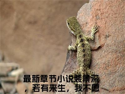 裴景深，若有来生，我不愿再遇见你是哪部小说的主角-裴景深陈晚枝（裴景深，若有来生，我不愿再遇见你）全文无弹窗完整版阅读裴景深陈晚枝