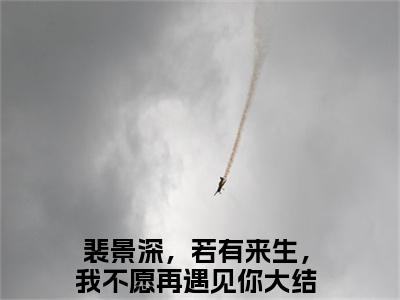 裴景深，若有来生，我不愿再遇见你小说全文免费阅读最新章节_裴景深陈晚枝（裴景深，若有来生，我不愿再遇见你）免费观看完结版_笔趣阁（裴景深陈晚枝）