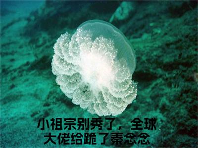 小祖宗别秀了，全球大佬给跪了秦念念全文免费阅读无弹窗，小祖宗别秀了，全球大佬给跪了秦念念小说最新章节列表无删减_笔趣阁