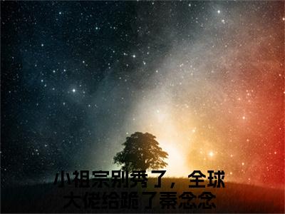 热门小说（小祖宗别秀了，全球大佬给跪了秦念念）精选章节阅读-高质量小说推荐阅读