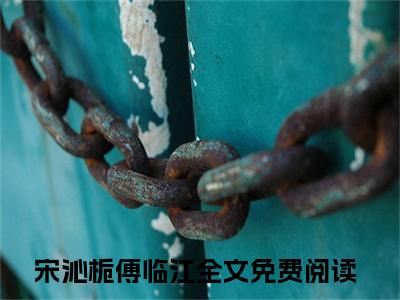 宋沁栀傅临江（宋沁栀傅临江）全文免费阅读大结局-（宋沁栀傅临江）结局免费阅读