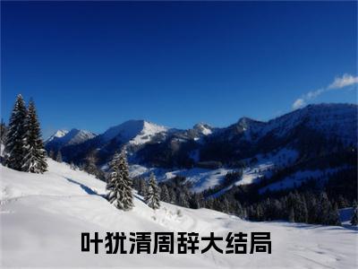 完结版叶犹清周辞小说在线阅读大结局-叶犹清周辞全文阅读已更新叶犹清周辞