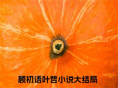 顾初语叶哲小说在哪里可以看 顾初语叶哲免费在线阅读