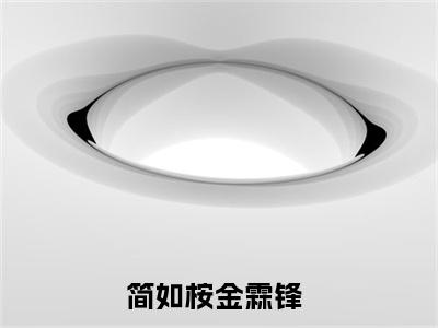 简如桉金霖锋（简如桉金霖锋）全文免费阅读无弹窗大结局_简如桉金霖锋在线阅读（简如桉金霖锋）