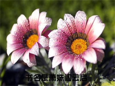 萧姝阎云启小说（萧姝阎云启）全文免费阅读结局-萧姝阎云启全文完结版阅读
