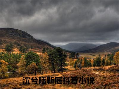 沈兮陆靳庭（沈兮陆靳庭）免费阅读无弹窗大结局-沈兮陆靳庭（最新全章节大结局）全文阅读