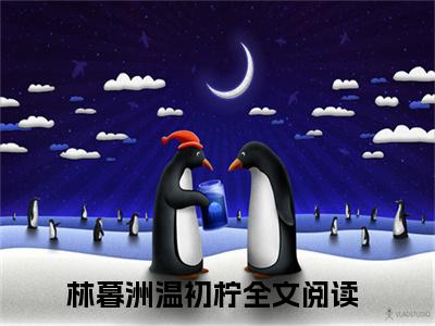林暮洲温初柠小说在线阅读（林暮洲温初柠）全文免费阅读无弹窗大结局_林暮洲温初柠小说免费最新章节列表_笔趣阁（林暮洲温初柠）