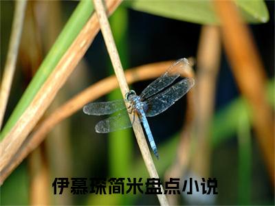 伊慕琛简米（伊慕琛简米全集无弹窗阅读）伊慕琛简米已完结小说全集完整版大结局笔趣阁（伊慕琛简米）最新章节列表_笔趣阁