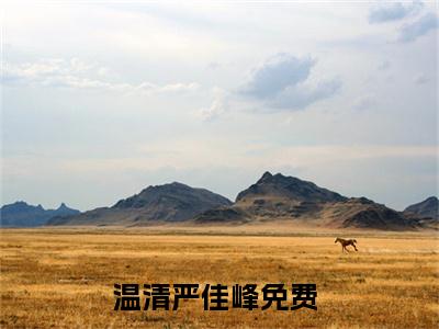 温清严佳峰阅读无弹窗大结局_（温清严佳峰阅读无弹窗）最新章节列表_笔趣阁（温清严佳峰）