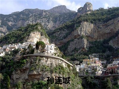 孙连城全文全章节免费阅读-正大光明全文免费阅读无弹窗大结局