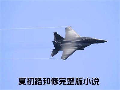 夏初路知修（夏初路知修）小说全文无删减-夏初路知修小说大结局免费阅读