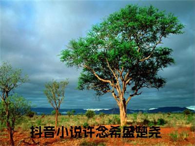 许念希盛楚尧免费阅读，主角为许念希盛楚尧的言情小说