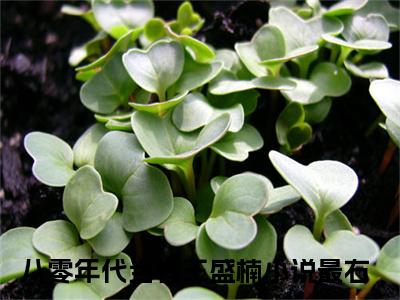 八零年代当卷王盛楠（八零年代当卷王盛楠全集无弹窗阅读）八零年代当卷王盛楠已完结小说全集完整版大结局笔趣阁（八零年代当卷王盛楠）最新章节列表_笔趣阁