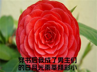 《穿书后我成了男主们的白月光秦莘》最新章节免费阅读-穿书后我成了男主们的白月光秦莘无广告小说精彩阅读