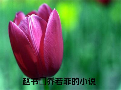 赵书璟乔若菲什么小说 赵书璟乔若菲全文免费阅读在线阅读