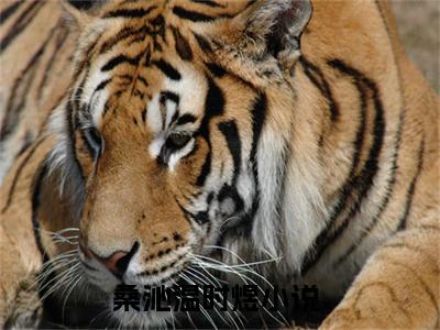 桑沁温时煜(桑沁温时煜全文免费阅读)_桑沁温时煜小说最新章节免费阅读