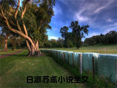 白溆苏鸢是什么小说_主角是（白溆苏鸢）的小说（白溆苏鸢）最新章节无弹窗阅读
