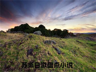 苏鸢白溆小说免费阅读-精选苏鸢白溆小说大结局阅读