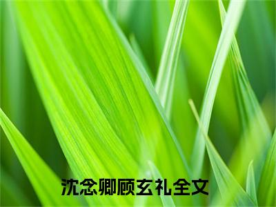 沈念卿顾玄礼免费阅读最新章节无弹窗 沈念卿顾玄礼完整版小说在线阅读