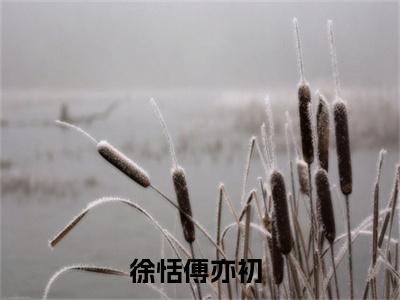 徐恬傅亦初小说叫什么名字（徐恬傅亦初）完整版大结局-徐恬傅亦初小说在线阅读