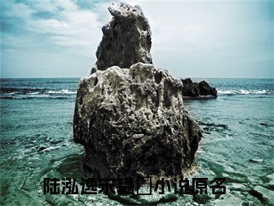 陆泓逸宋韫玥最新章节在线阅读-小说全文阅读