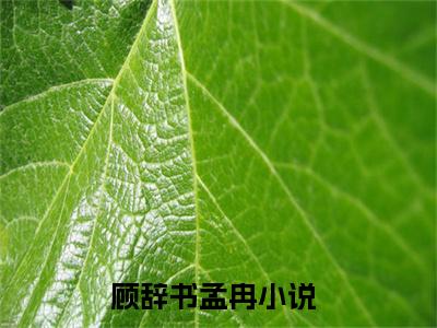 顾辞书孟冉（顾辞书孟冉）小说-顾辞书孟冉小说免费阅读