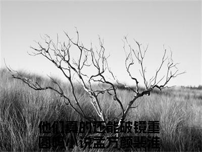他们真的还能破镜重圆吗小说无弹窗（孟方颜裴淮璟）全文免费阅读无弹窗大结局_孟方颜裴淮璟最新章节列表_笔趣阁