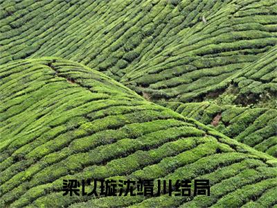 梁以璇沈靖川完整版（梁以璇沈靖川小说）全文免费阅读无弹窗大结局_梁以璇沈靖川最新章节（梁以璇沈靖川全文）