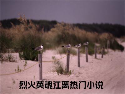 烈火英魂江离：烈火英魂江离阅读无弹窗大结局_（烈火英魂江离阅读无弹窗）最新章节列表_笔趣阁（烈火英魂江离）