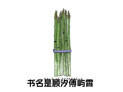 顾汐傅屿霄新上热文小说讲的是什么-顾汐傅屿霄全文完整版免费阅读