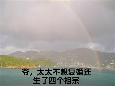 锦初傅夜宸（爷，太太不想复婚还生了四个祖宗）全文免费阅读_（爷，太太不想复婚还生了四个祖宗）最新章节小说免费阅读（锦初傅夜宸）