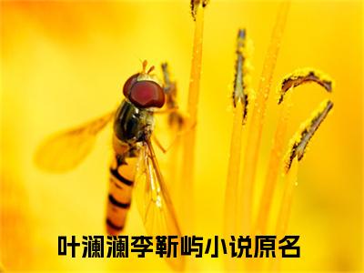 叶澜澜李靳屿小说后续阅读无弹窗大结局_（叶澜澜李靳屿阅读无弹窗）最新章节列表_笔趣阁（叶澜澜李靳屿）