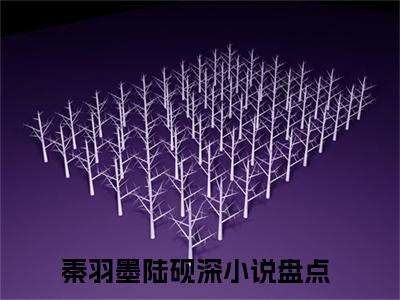 宝宝乖，这婚我们不离了免费阅读（秦羽墨陆砚深）全文免费阅读无弹窗大结局_宝宝乖，这婚我们不离了免费阅读最新章节列表