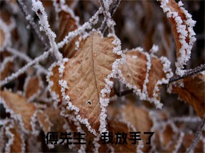 傅先生，我放手了小说全文（傅喆衍姜梨）免费阅读全文无弹窗大结局_傅喆衍姜梨免费阅读无弹窗小说_笔趣阁
