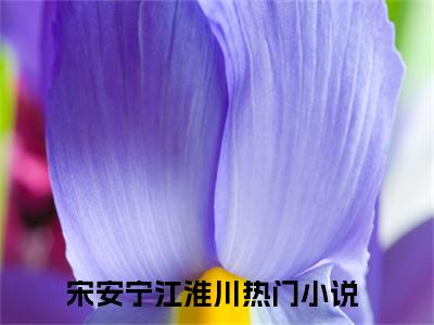 宋安宁江淮川小说哪里能看-(宋安宁江淮川)最新章节在线阅读