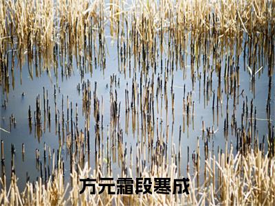 与他有染（方元霜段寒成）完整版全文在线赏析-与他有染精彩美文摘抄
