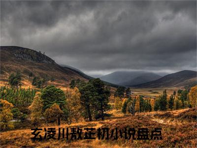 小说（玄凌川敖芷初）免费阅读-小说（玄凌川敖芷初）无弹窗大结局 玄凌川敖芷初全文在线赏析最新章节列表_笔趣阁
