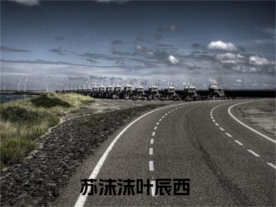 苏沫沫叶辰西(苏沫沫叶辰西)全文阅读无弹窗大结局-苏沫沫叶辰西小说结局免费阅读_笔趣阁（苏沫沫叶辰西）