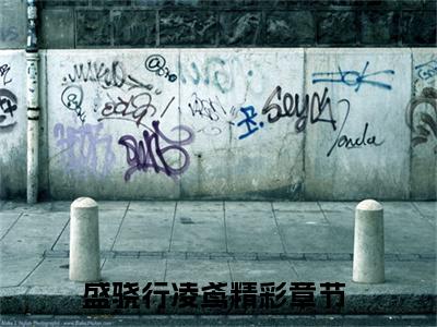 盛骁行凌鸢超受欢迎小说-盛骁行凌鸢全文在线赏析