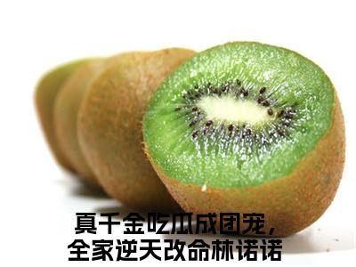 真千金吃瓜成团宠，全家逆天改命林诺诺全文免费阅读在线阅读 真千金吃瓜成团宠，全家逆天改命林诺诺全文免费阅读最新章节列表_笔趣阁
