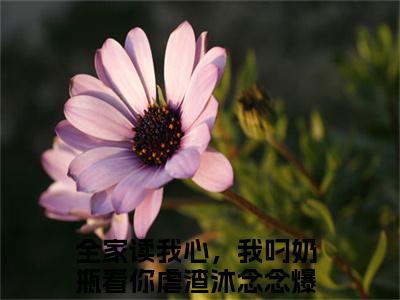 全家读我心，我叼奶瓶看你虐渣沐念念小说免费阅读-精选全家读我心，我叼奶瓶看你虐渣沐念念小说大结局阅读