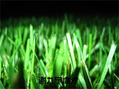 谢九宁虞汐 谢九宁虞汐小说全文免费阅读_谢九宁虞汐最新章节列表笔趣阁