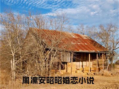 周凛安昭昭小说免费阅读无弹窗-周凛安昭昭（周凛安昭昭）小说免费阅读无弹窗大结局