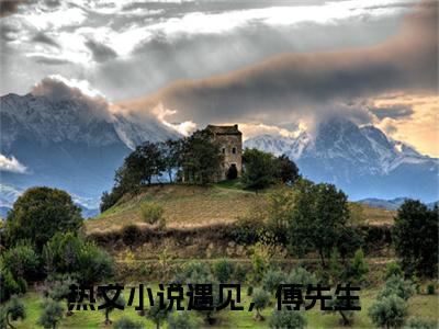 叶繁星傅景遇（遇见，傅先生）全文小说-叶繁星傅景遇小说最新章节免费阅读