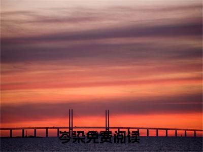 岑染好看的小说爆红顶流从做国民学神开始在线阅读-爆红顶流从做国民学神开始是什么小说《岑染》