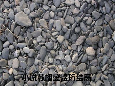 苏栩盛煜珩（重生甜妻A爆了）最新小说全文阅读-热点小说苏栩盛煜珩（重生甜妻A爆了）最新章节免费阅读