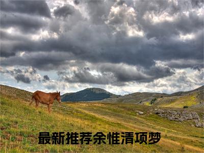 余惟清项梦（余惟清项梦）全文免费阅读无弹窗大结局_余惟清项梦全文在线阅读无弹窗