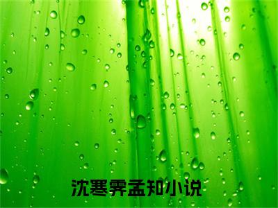 沈寒霁孟知（沈寒霁孟知）小说全文免费阅读无弹窗大结局_（沈寒霁孟知）沈寒霁孟知最新章节列表笔趣阁（沈寒霁孟知）