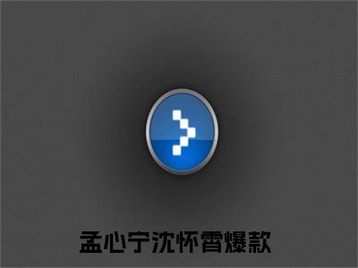 孟心宁沈怀霄（孟心宁沈怀霄）小说最新章节-孟心宁沈怀霄全文免费阅读无弹窗大结局