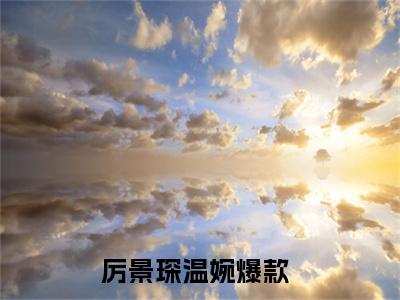 厉景琛温婉在哪看无弹窗全文